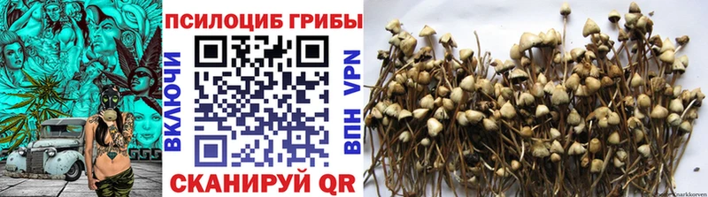 Псилоцибиновые грибы мухоморы Тулун